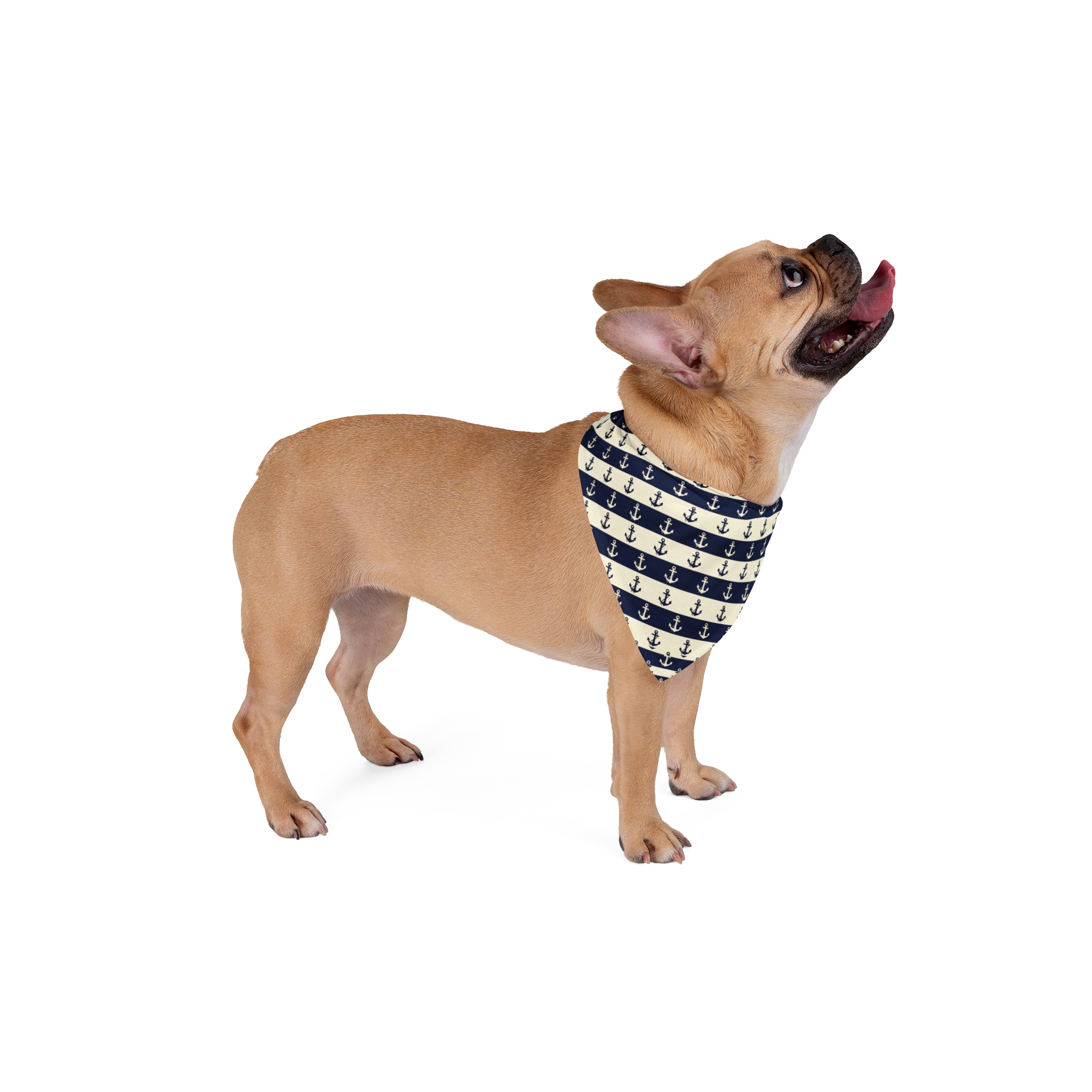 Tito Personalized Name Bandana - Image 8