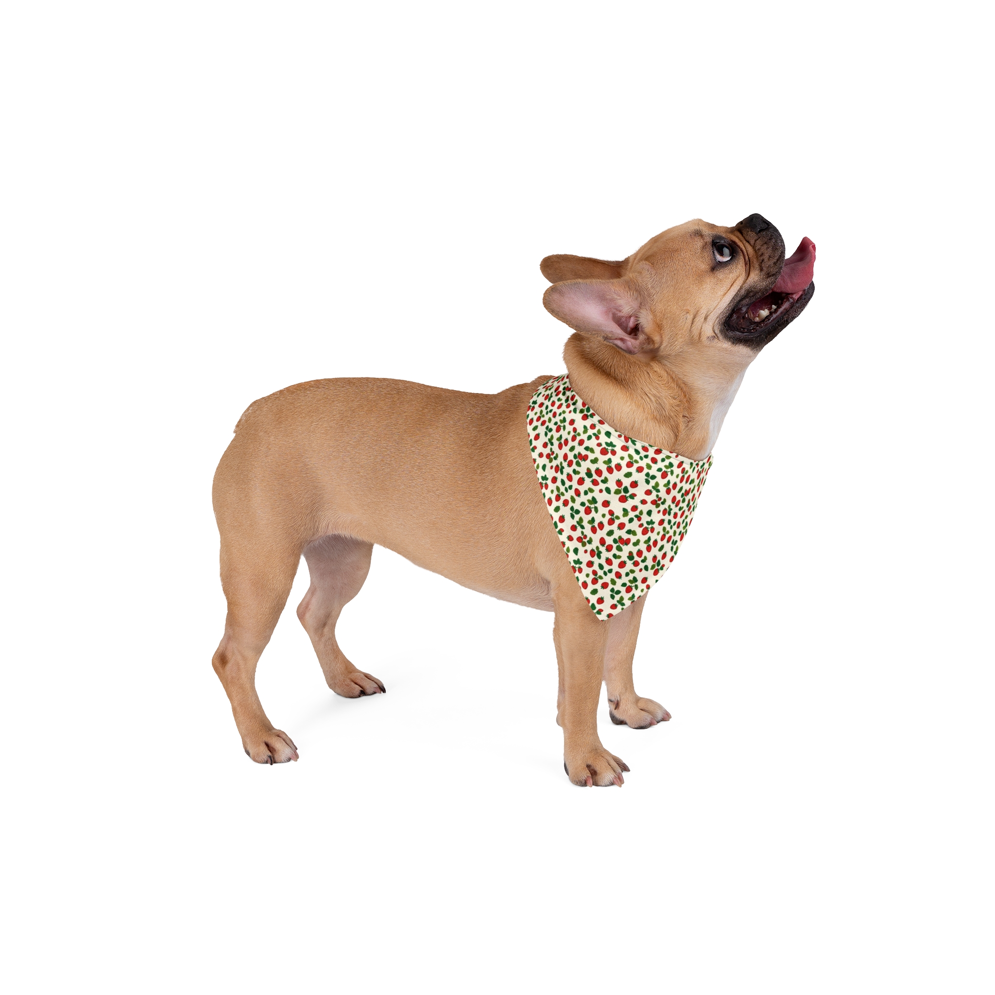 Tito Puppy Bandana 3-Pack - Image 8