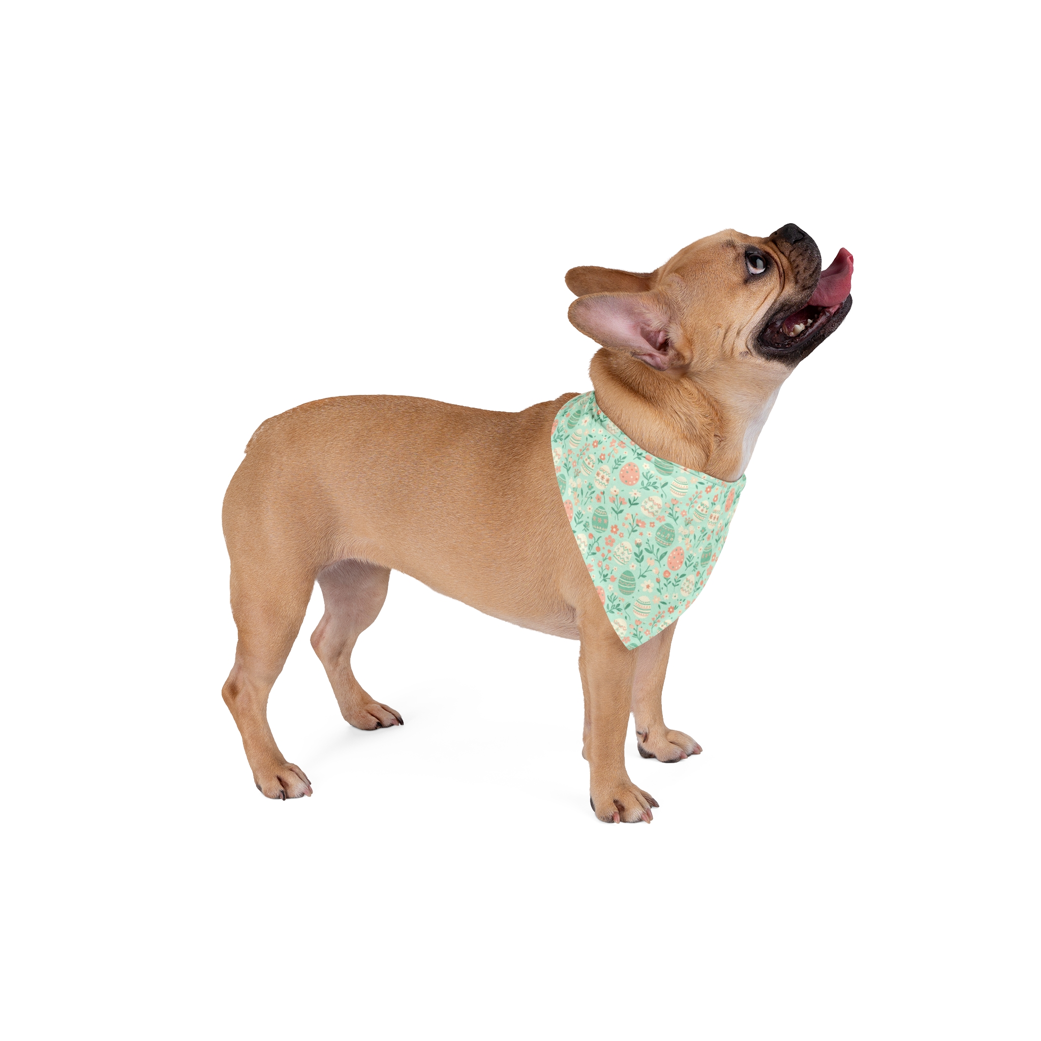 Tito Cream Daisy Dog Bandana - Image 8