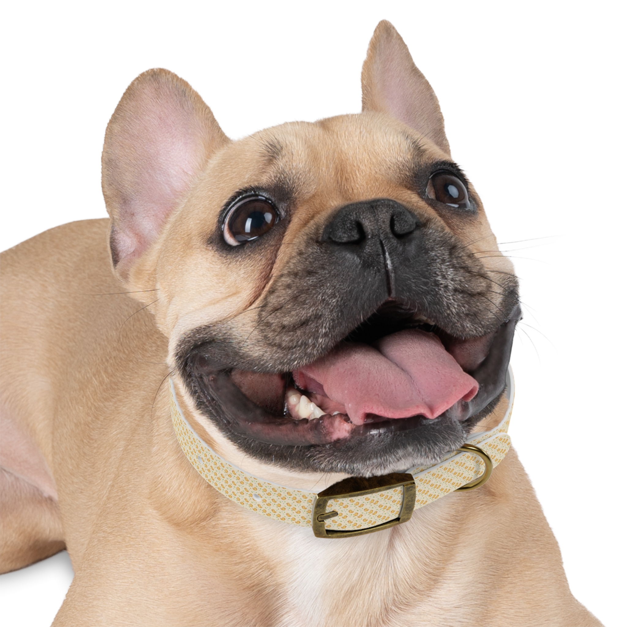 Tito Floral Collar + Bandana Bundle - Image 12