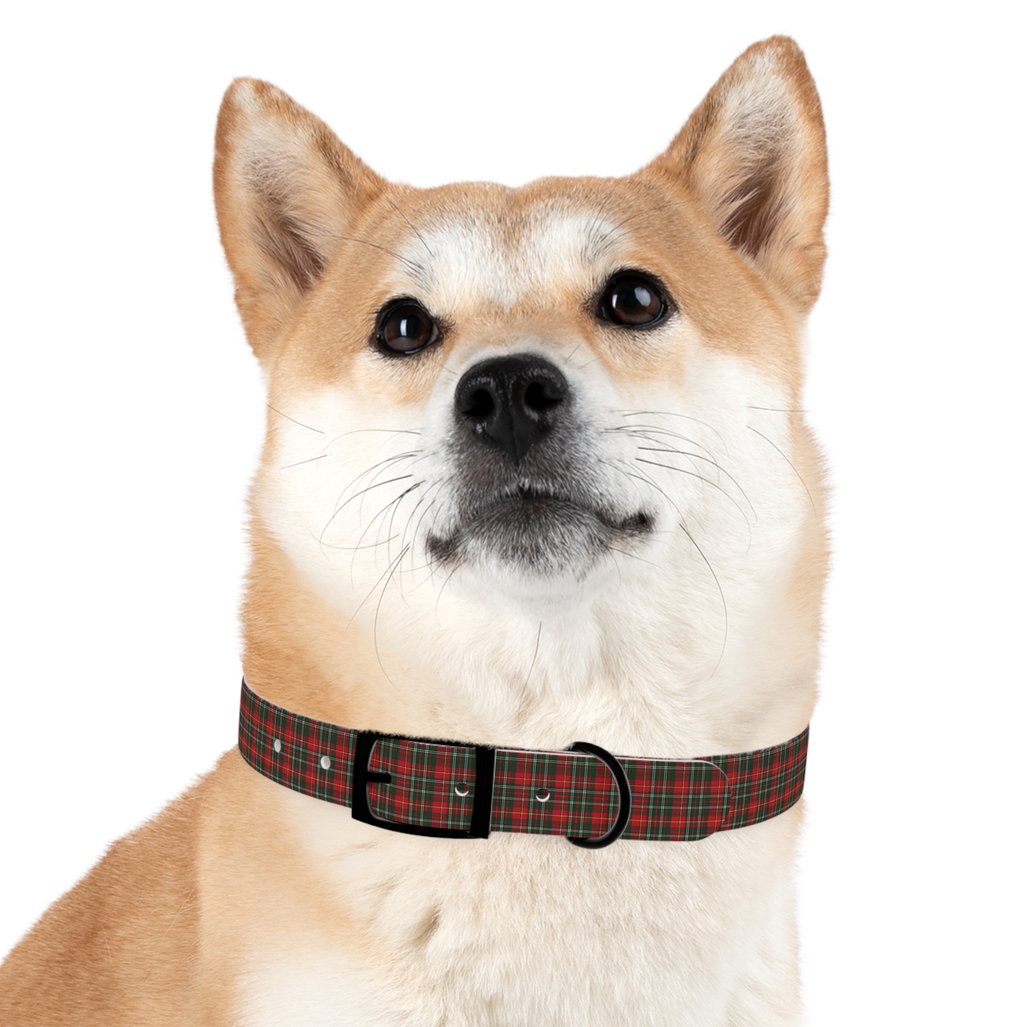 Tito Holiday Tartan Collar - Image 15