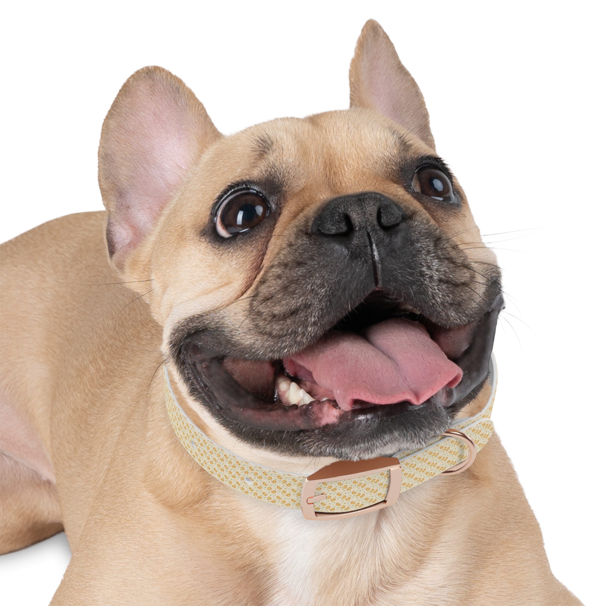 Tito Floral Collar + Bandana Bundle - Image 9