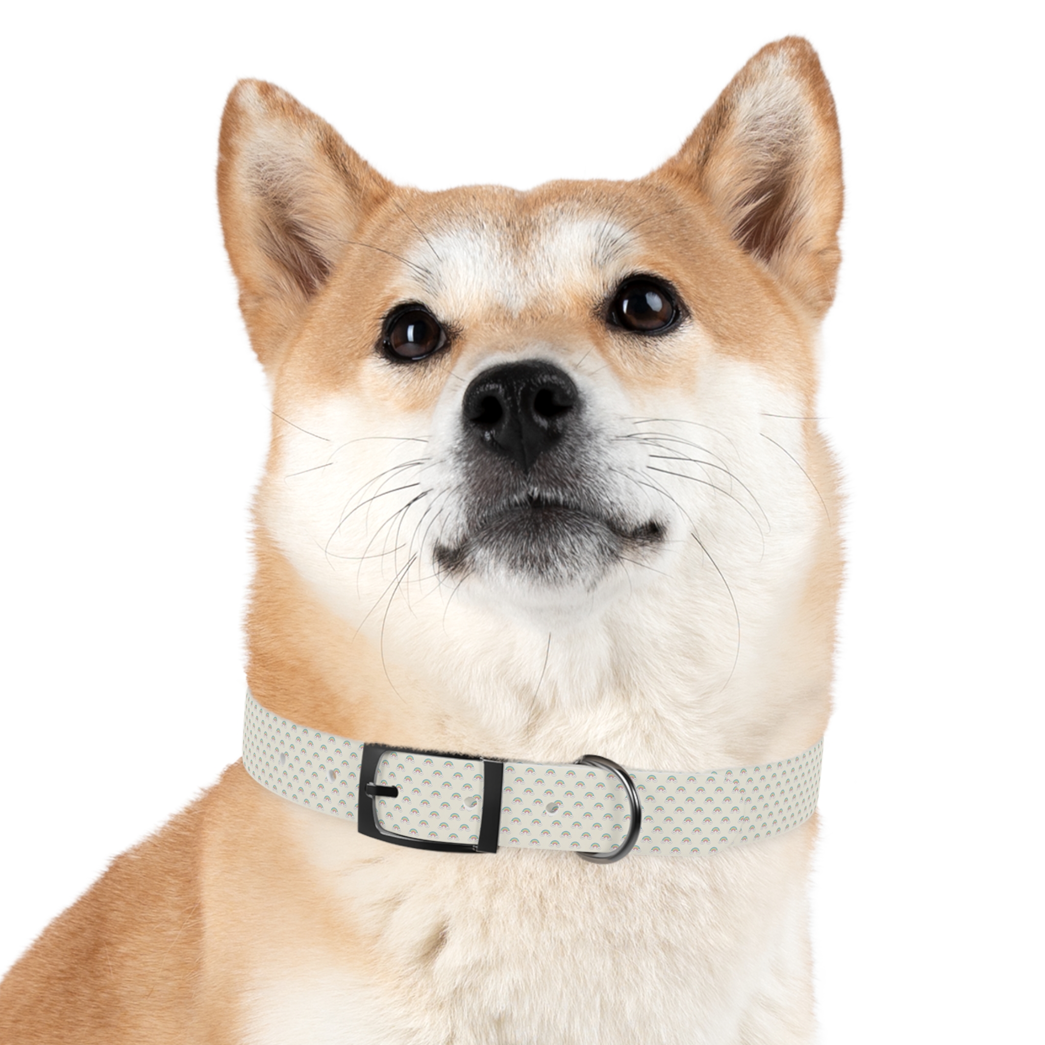 Tito Puppy Starter Collar — Adjustable - Image 18