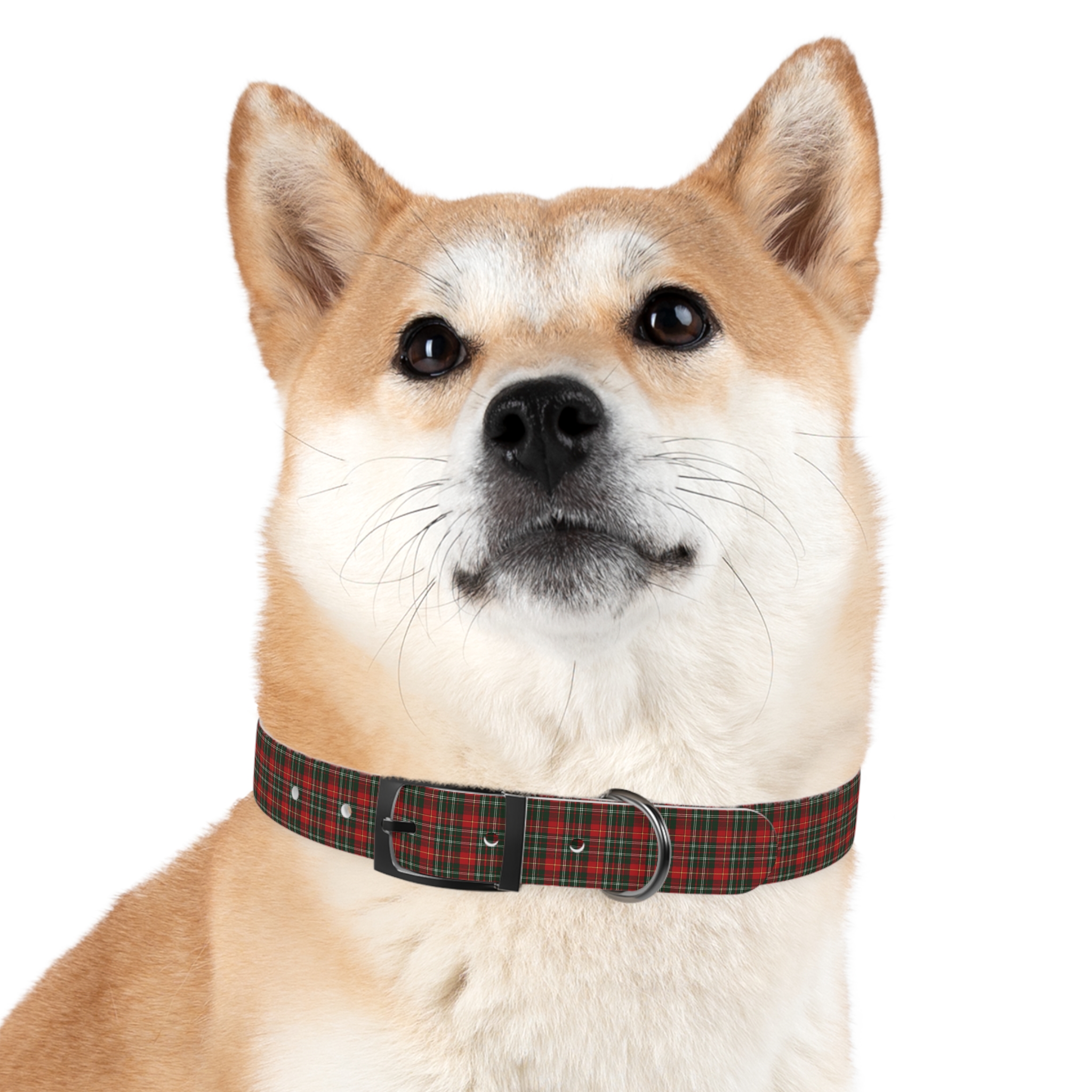 Tito Holiday Tartan Collar - Image 18