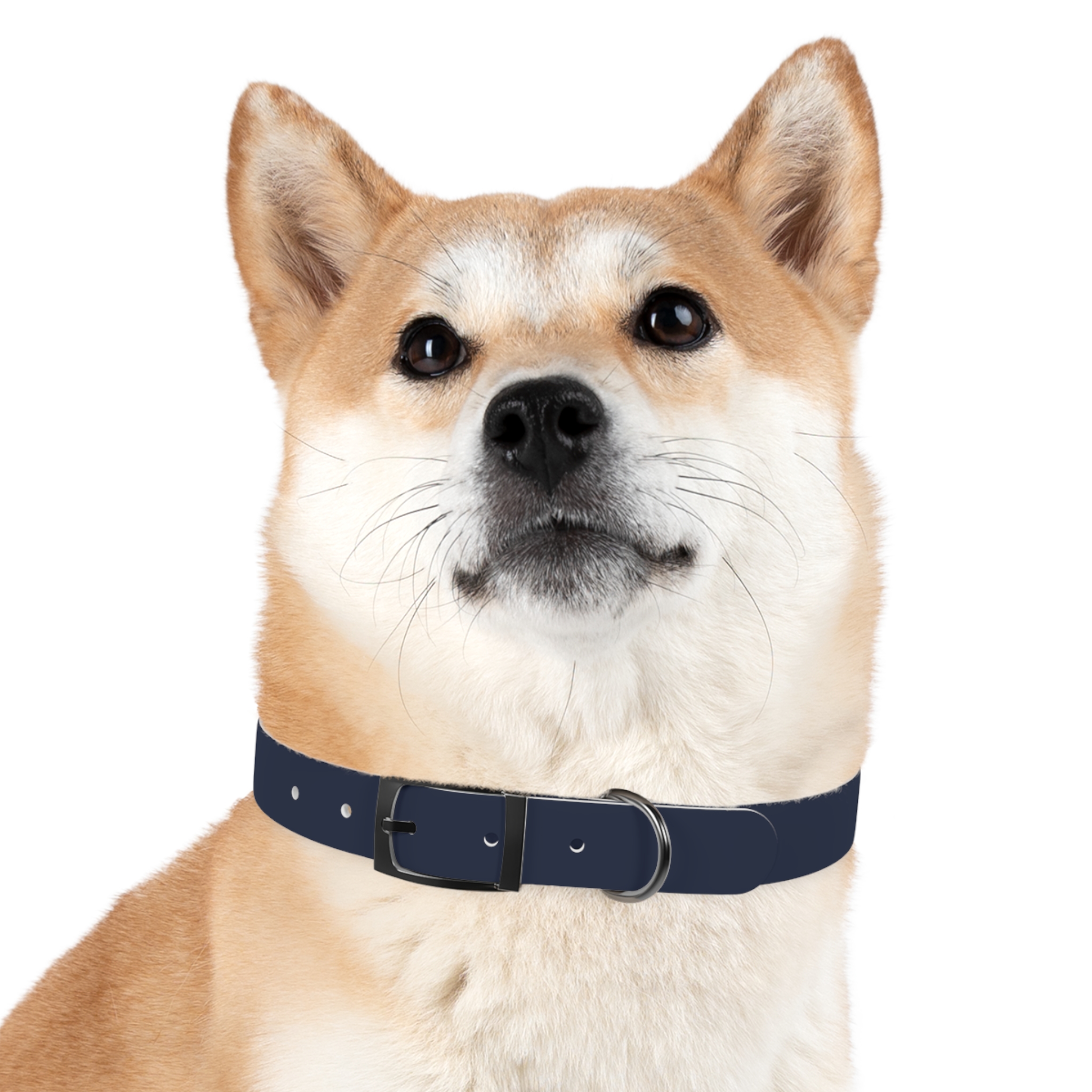 Tito Classic Personalized Name Collar — Navy - Image 30