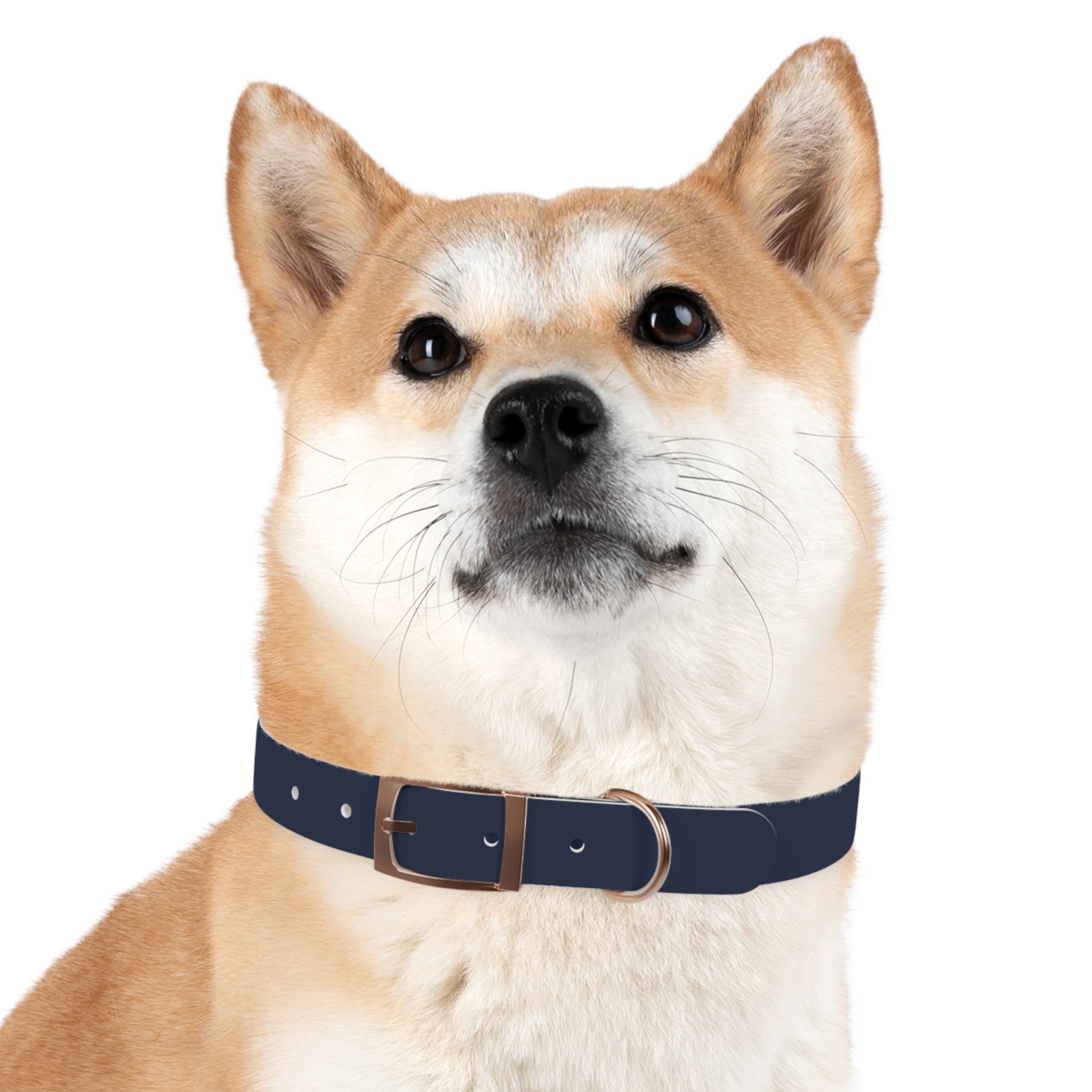 Tito Classic Personalized Name Collar — Navy - Image 21