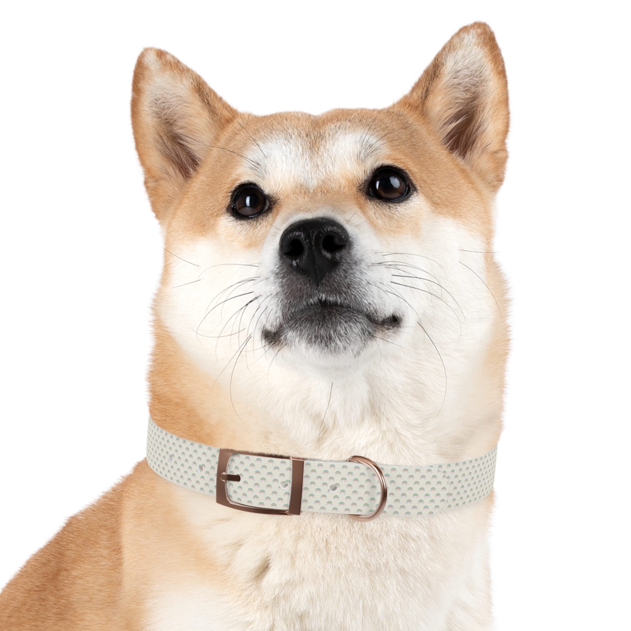 Tito Puppy Starter Collar — Adjustable - Image 21