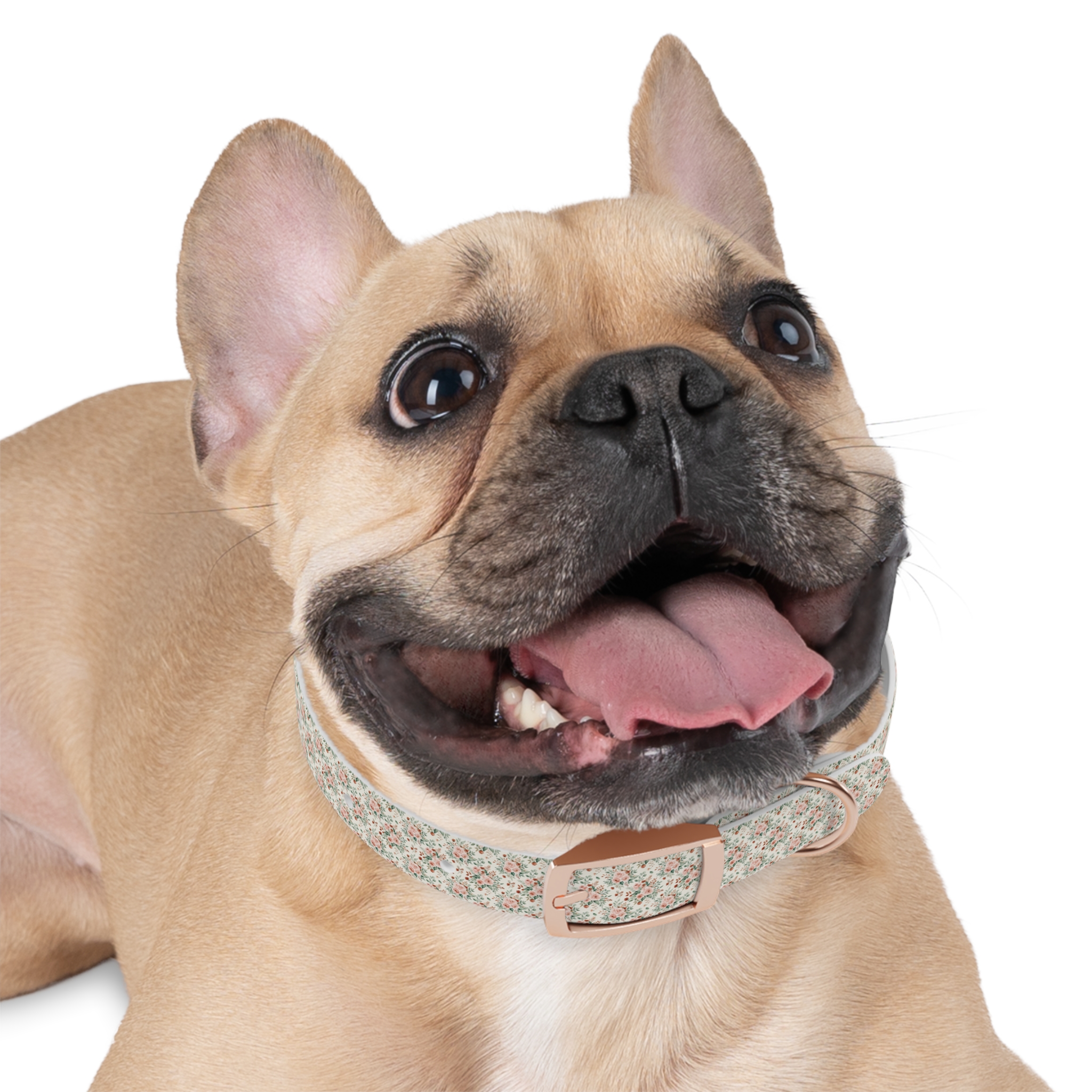 Tito Floral Personalized Name Collar - Image 9