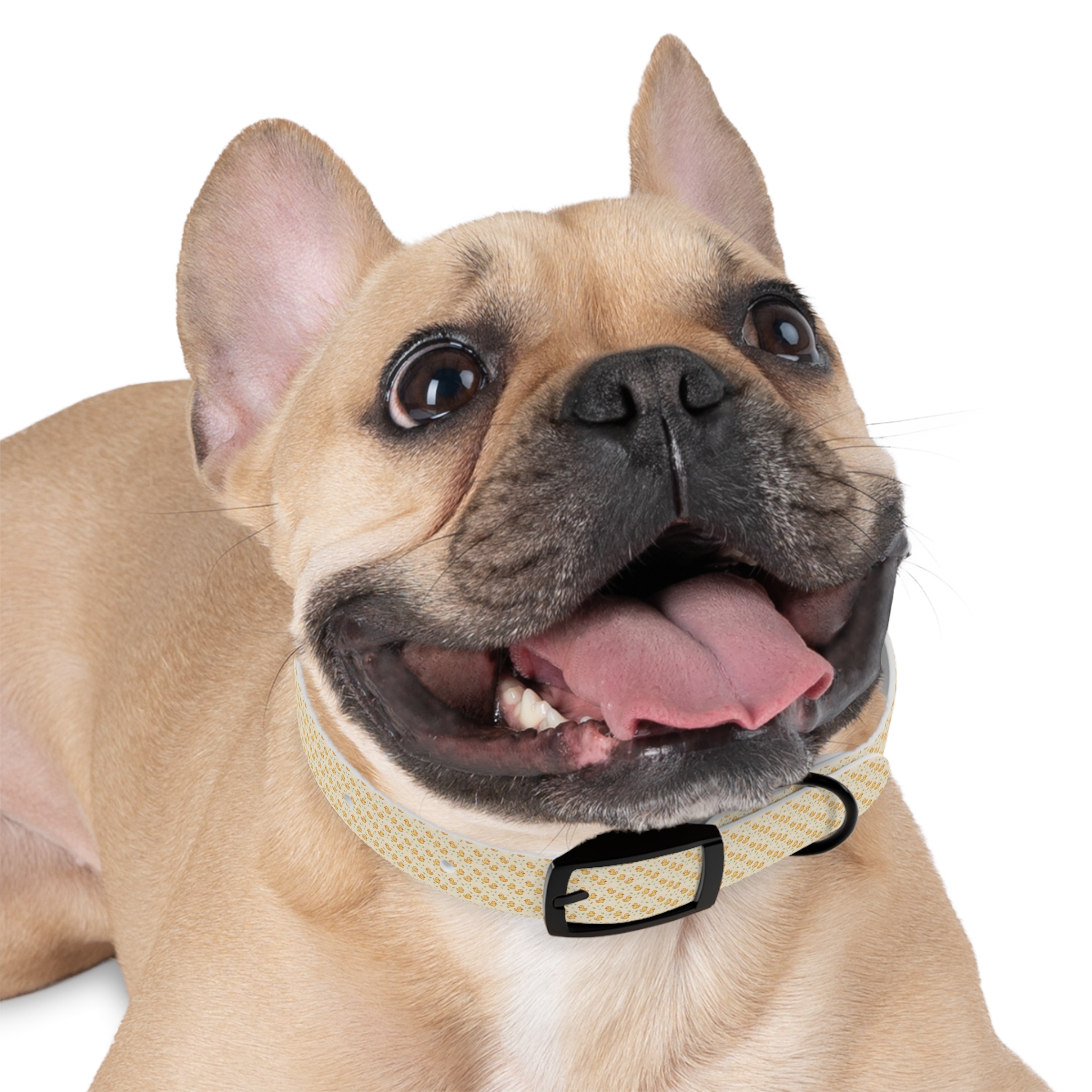 Tito Floral Collar + Bandana Bundle - Image 3