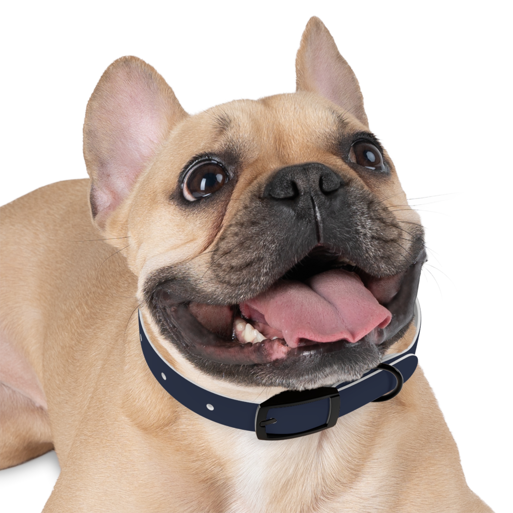 Tito Classic Personalized Name Collar — Navy - Image 3