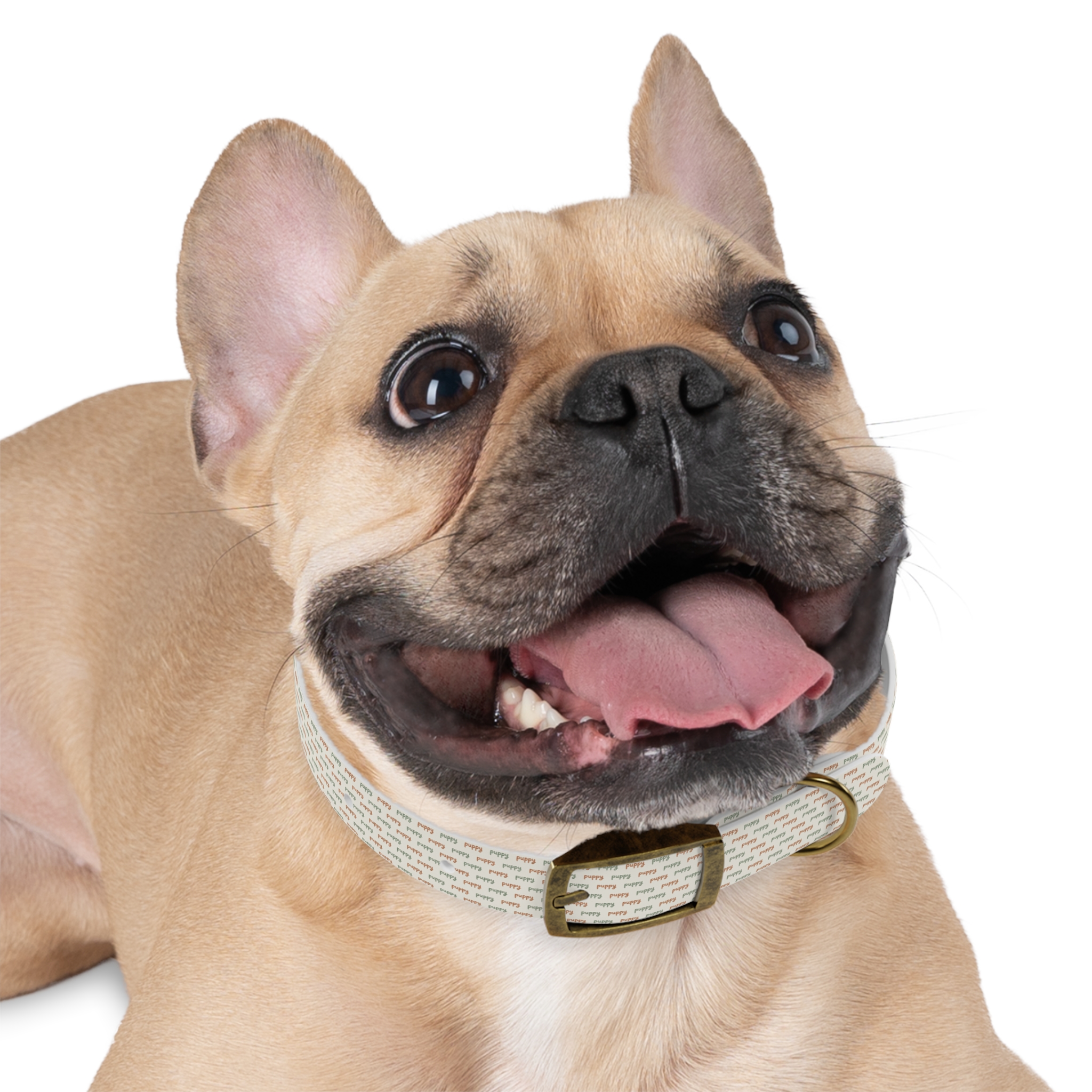 Tito Puppy Personalized Name Collar - Image 12