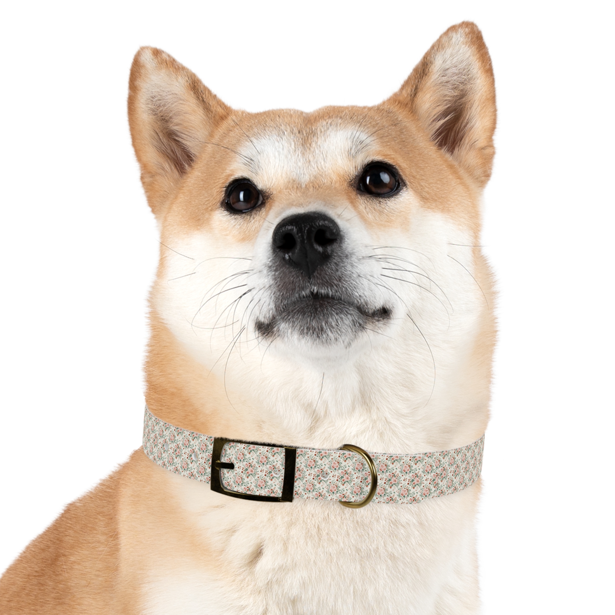 Tito Floral Personalized Name Collar - Image 24