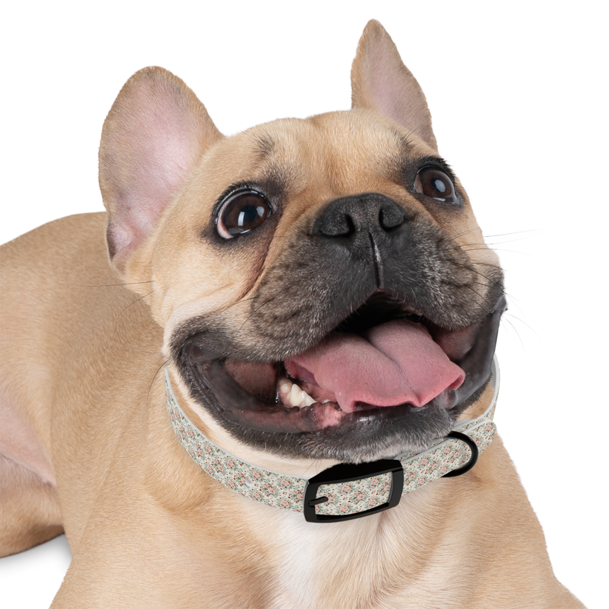 Tito Floral Personalized Name Collar - Image 3