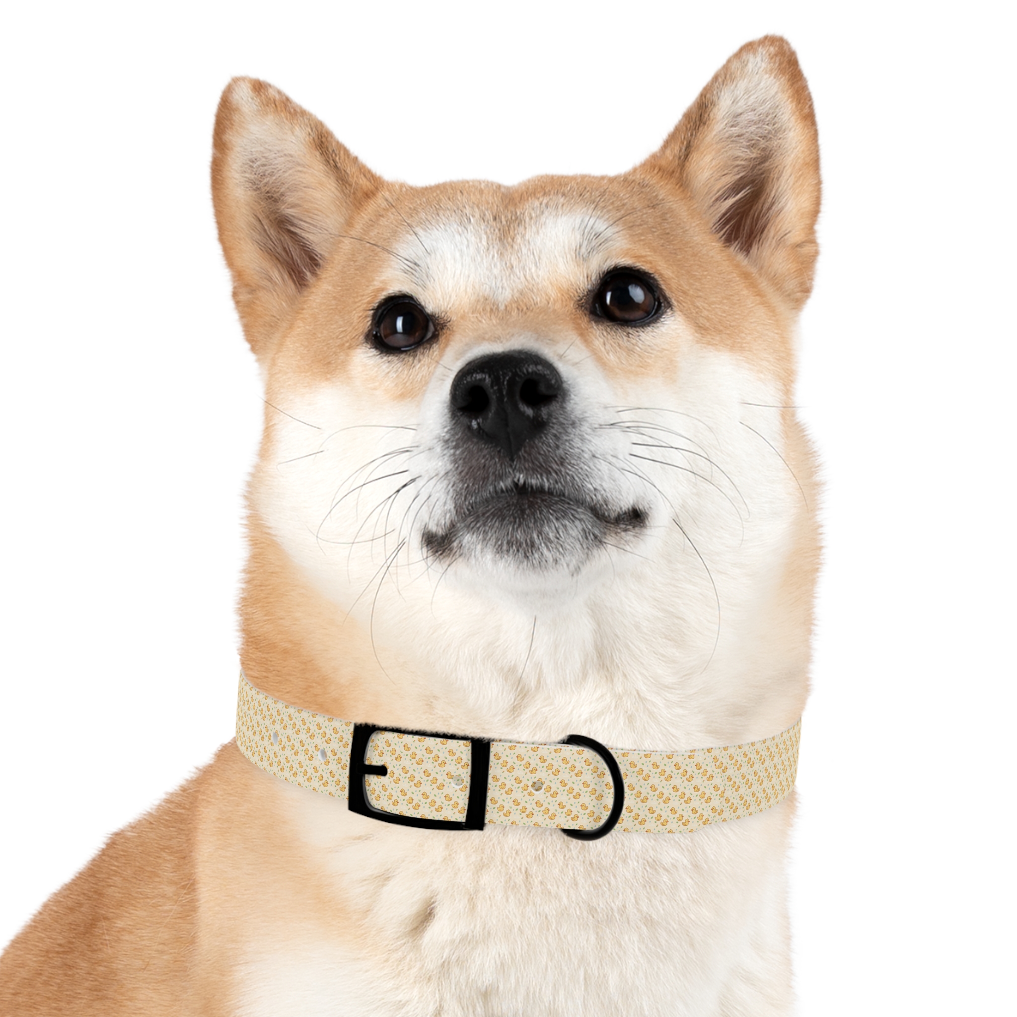Tito Floral Collar + Bandana Bundle - Image 27
