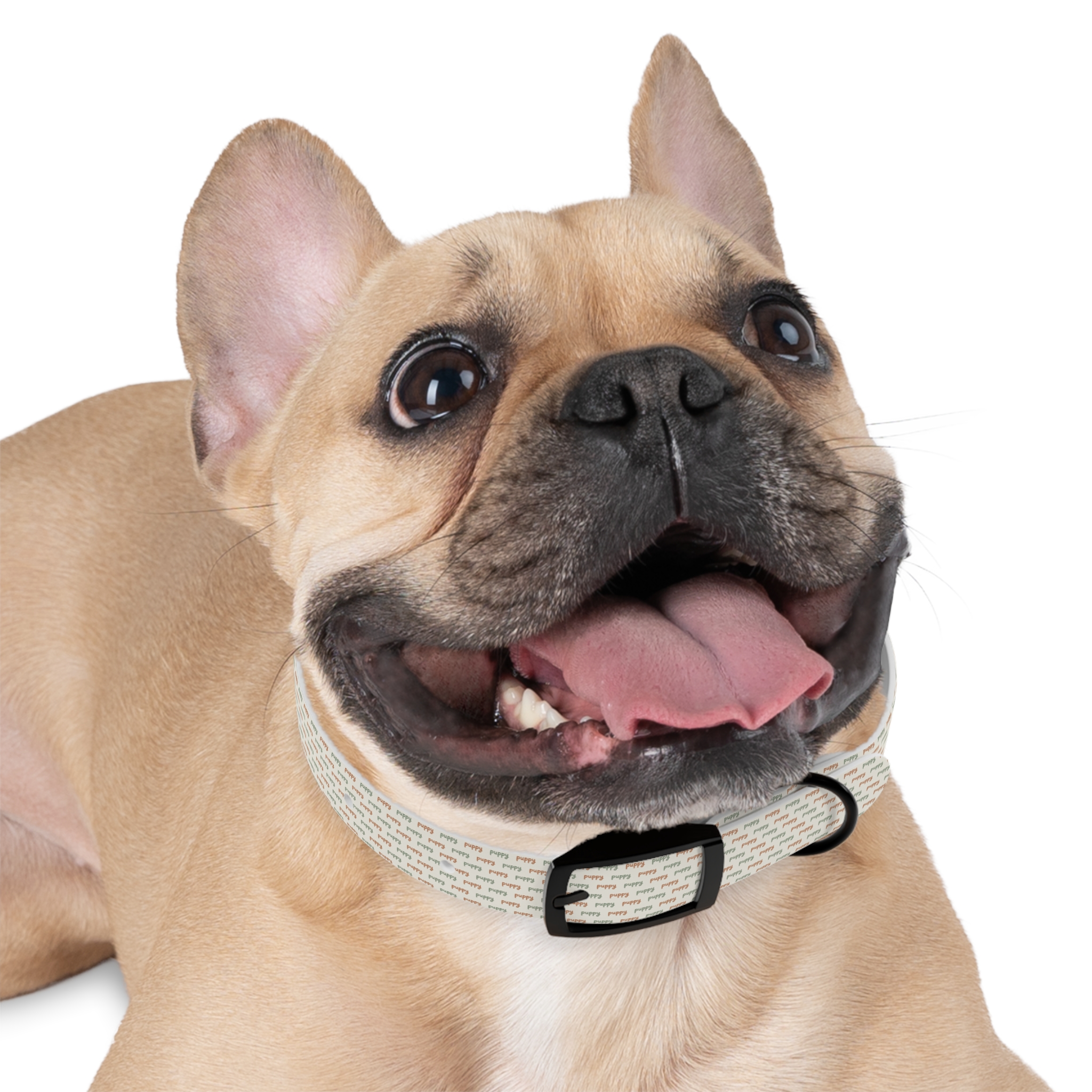 Tito Puppy Personalized Name Collar - Image 3