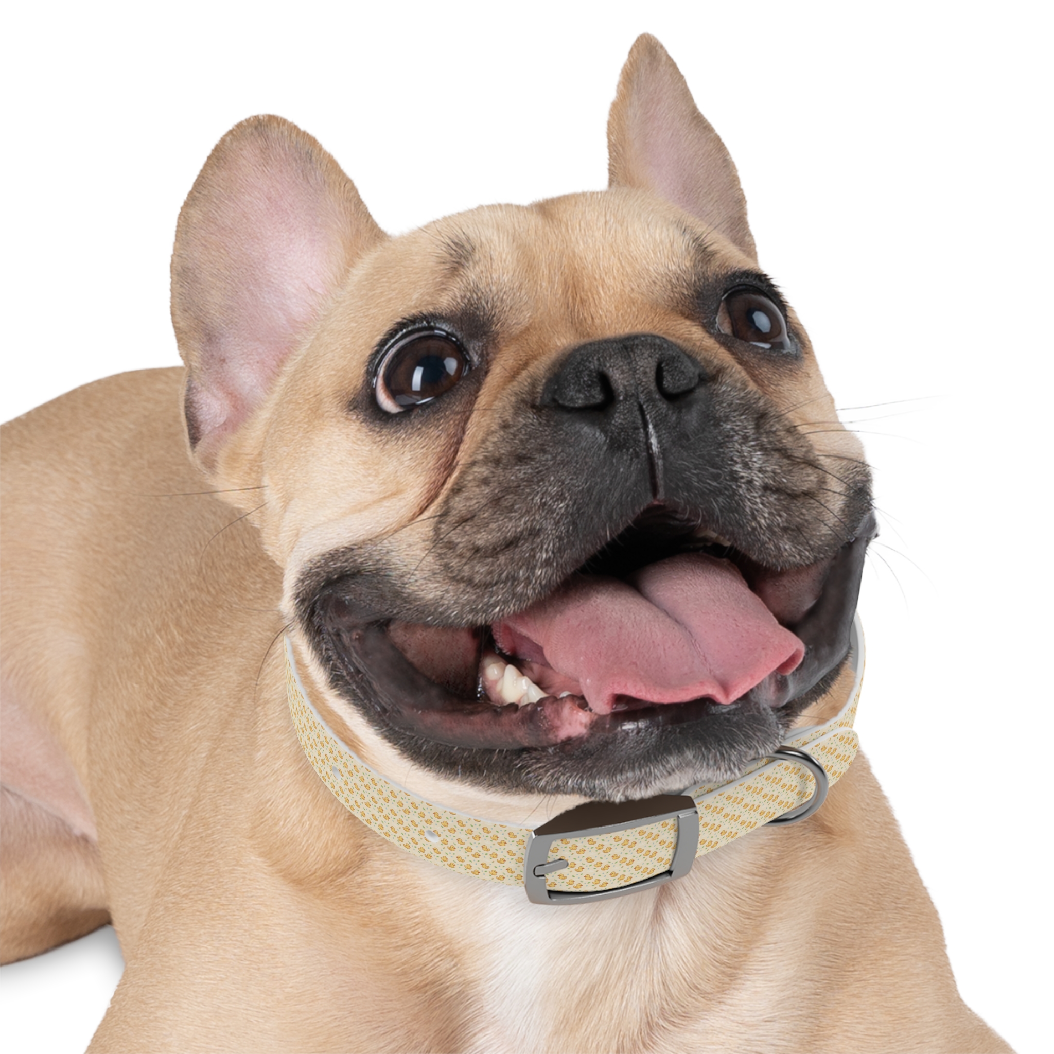 Tito Floral Collar + Bandana Bundle - Image 6