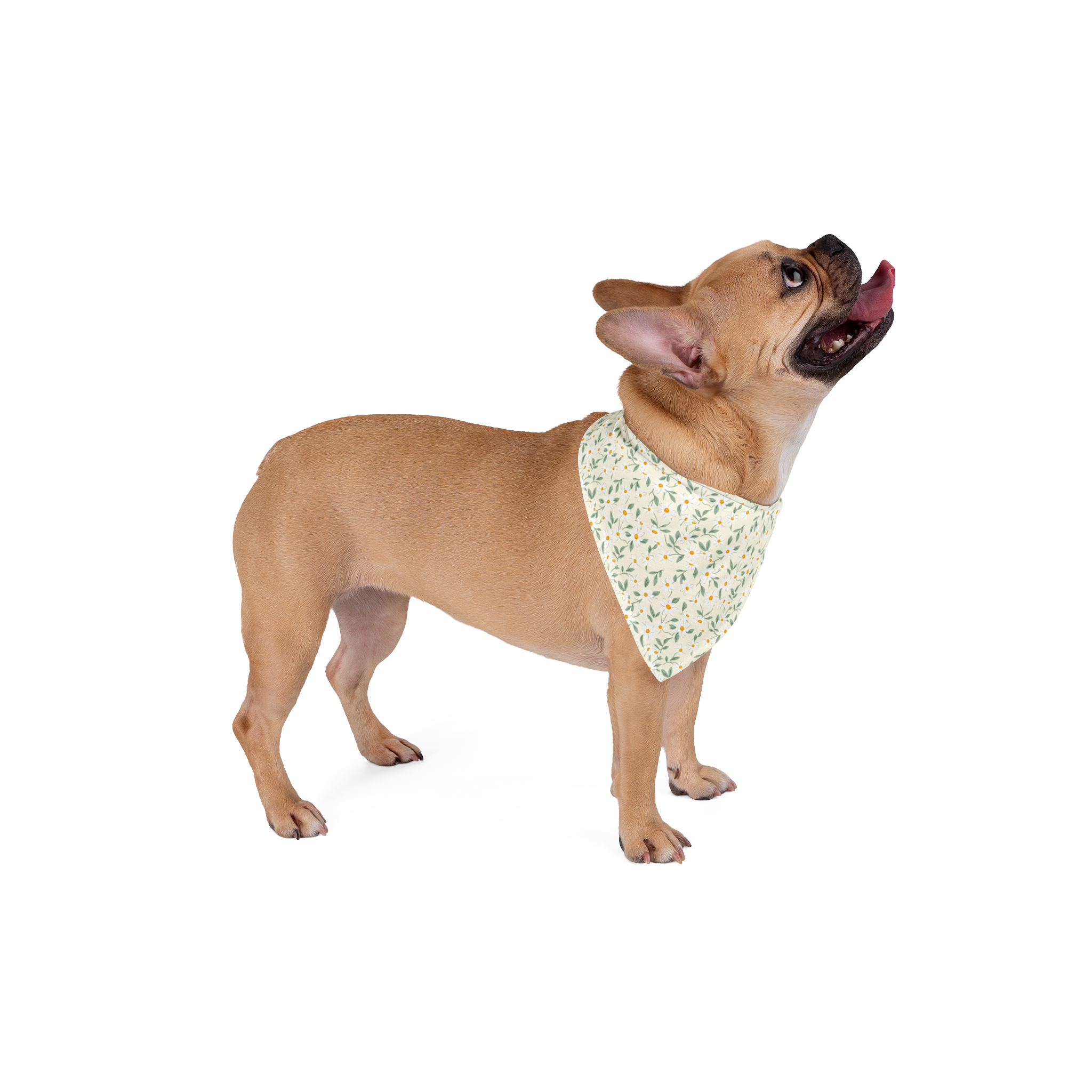 Tito Sage Gingham Dog Bandana - Image 4