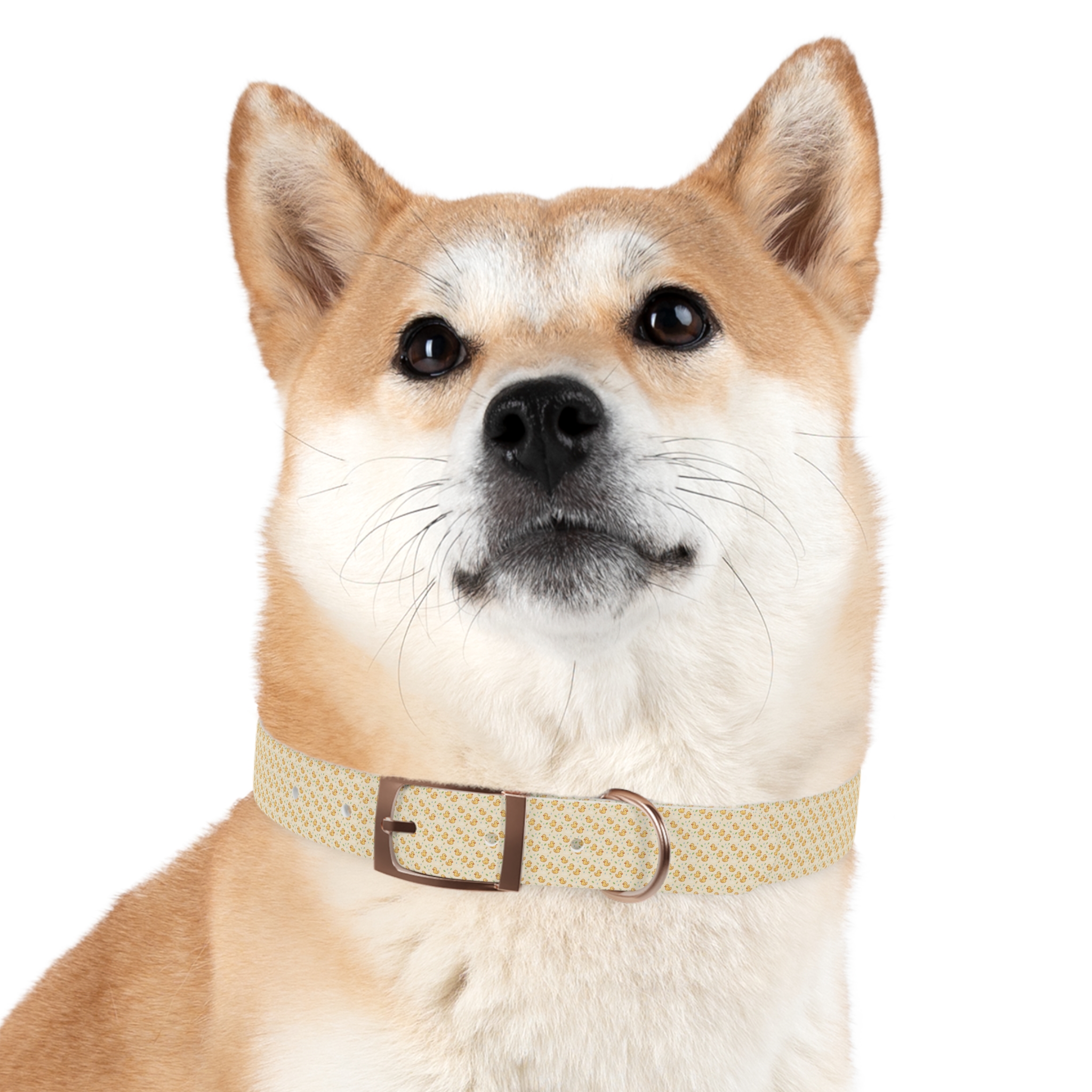 Tito Floral Collar + Bandana Bundle - Image 21