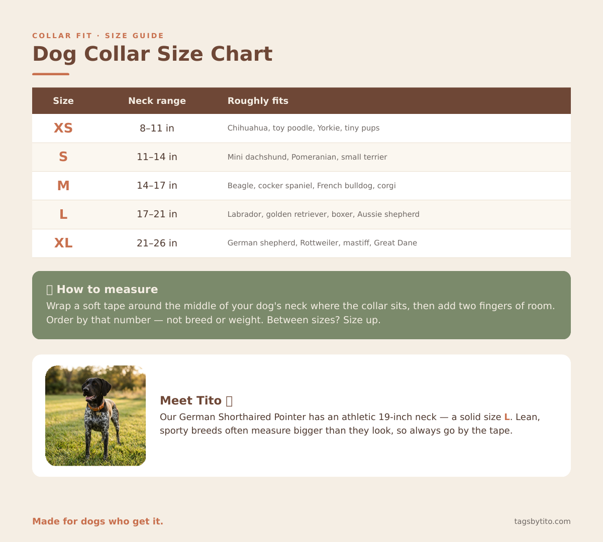 Dog collar size chart - XS to XL neck ranges