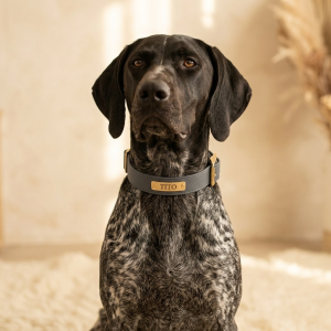 Tito Classic Personalized Name Collar — Charcoal