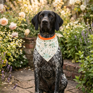 Tito Cream Daisy Dog Bandana